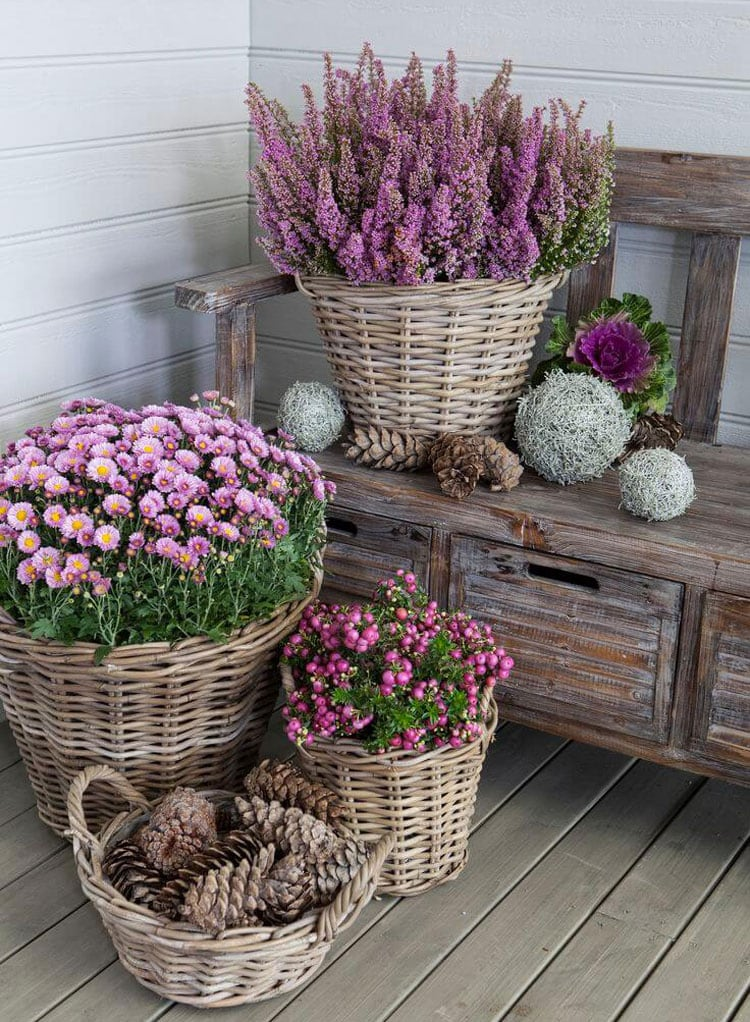 Front Door Flower Pots Stylish Ways to Decorate Your Entryway with Beautiful Blooms