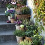 Front Door Flower Pots