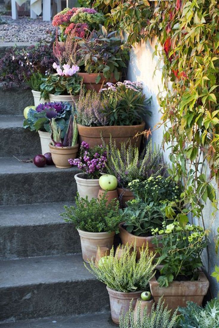 Front Door Flower Pots Transform Your Home’s Entrance with Stunning Floral Arrangements