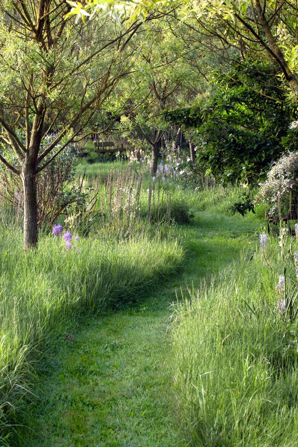 Front Yard Pathways Landscaping Creating Beautiful Paths in Your Front Yard