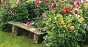 Garden Benches