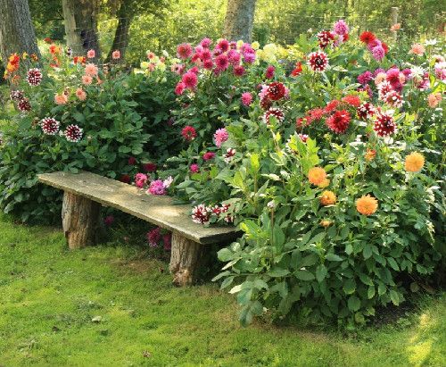 Garden Benches Comfortable Seating Options for Your Outdoor Oasis