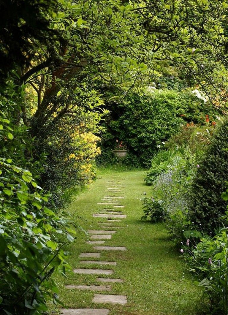 Garden Path Navigating the lush green maze of winding pathways