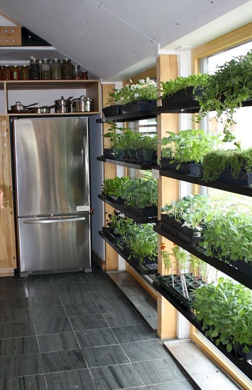 Indoor Gardening How to Cultivate a Lush Oasis Inside Your Home