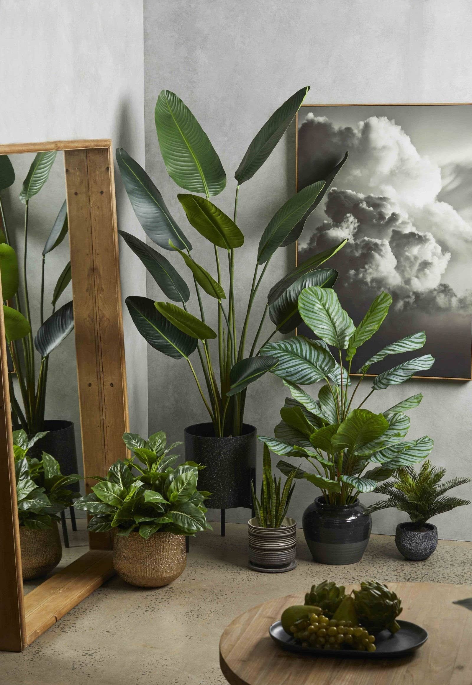 Indoor Plants Decor How to Elevate Your Home with Stunning Greenery Arrangements