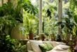 Indoor Plants Decor