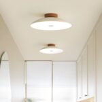 Led Ceiling Lights