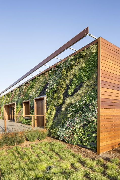 Living Walls Innovative Vertical Gardens for Sustainable Green Spaces