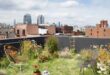 Lovely Garden Rooftop