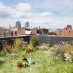 Lovely Garden Rooftop