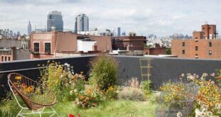 Lovely Garden Rooftop