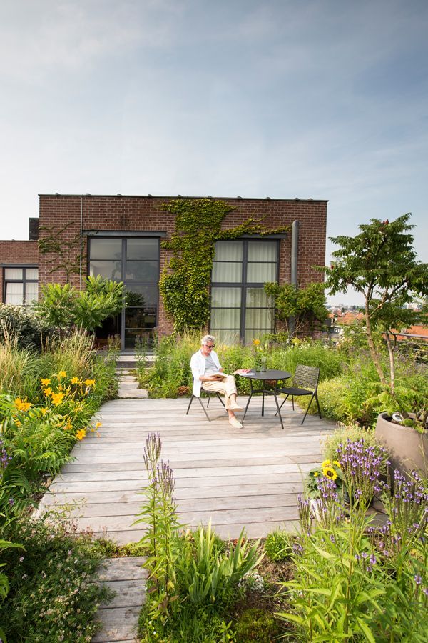 Lovely Garden Rooftop Transform Your Roof into a Tranquil Outdoor Oasis