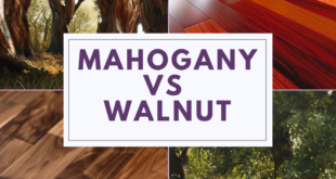 Mahogany Wood