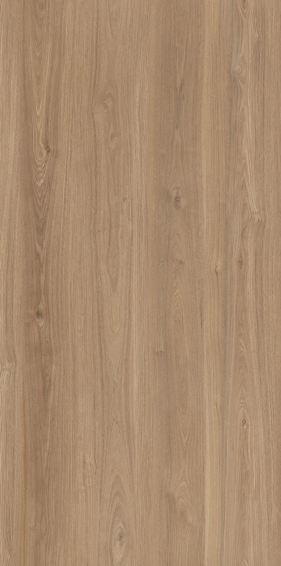 Oak Wood : The beauty and versatility of oak wood for your home and beyond