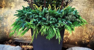 Outdoor Holiday Planter