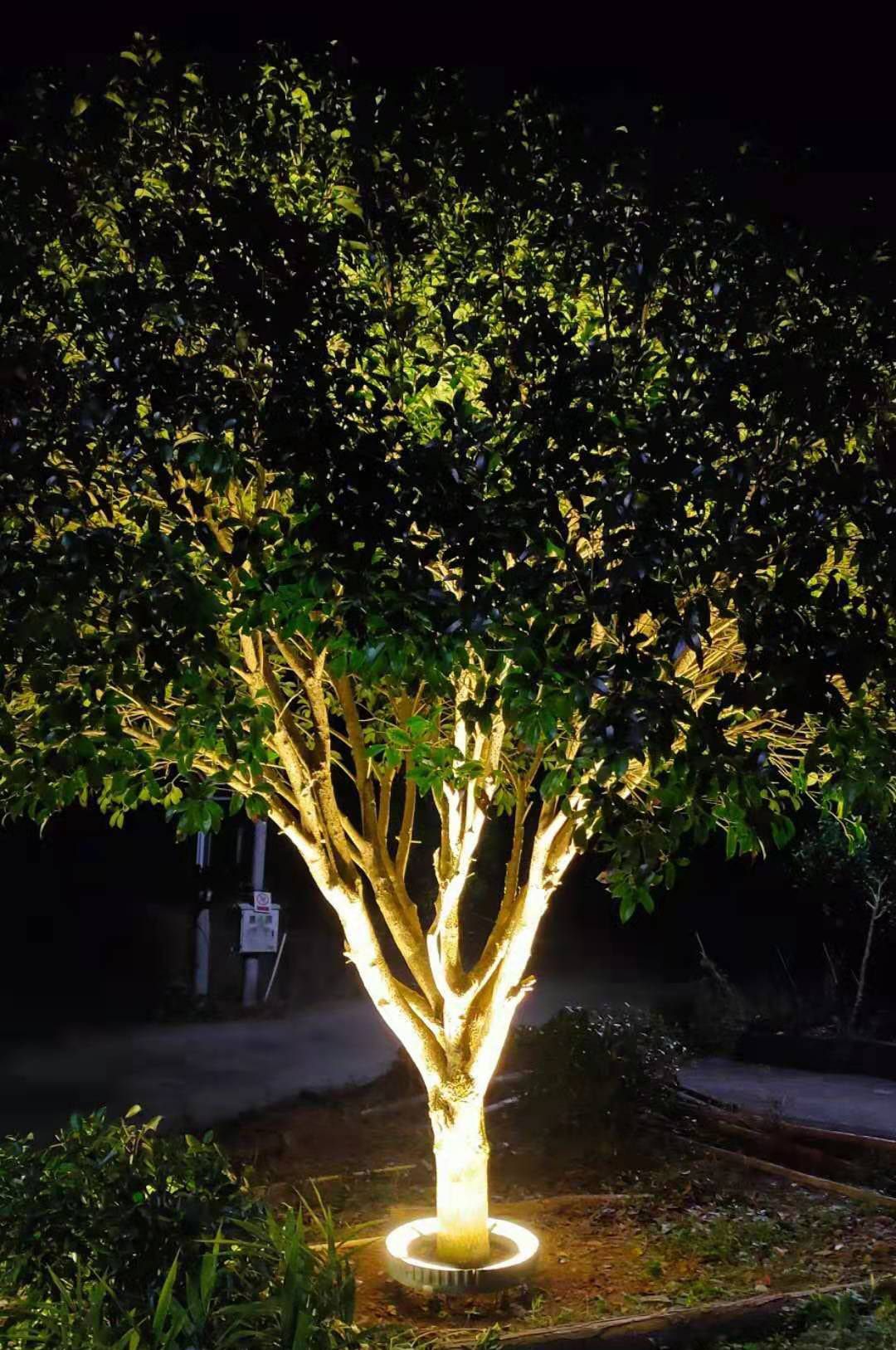 Outdoor Lighting For Garden : Illuminate Your Garden with Stunning Outdoor Lighting Options