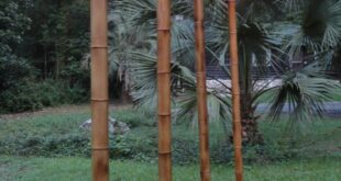 Outdoor Pole