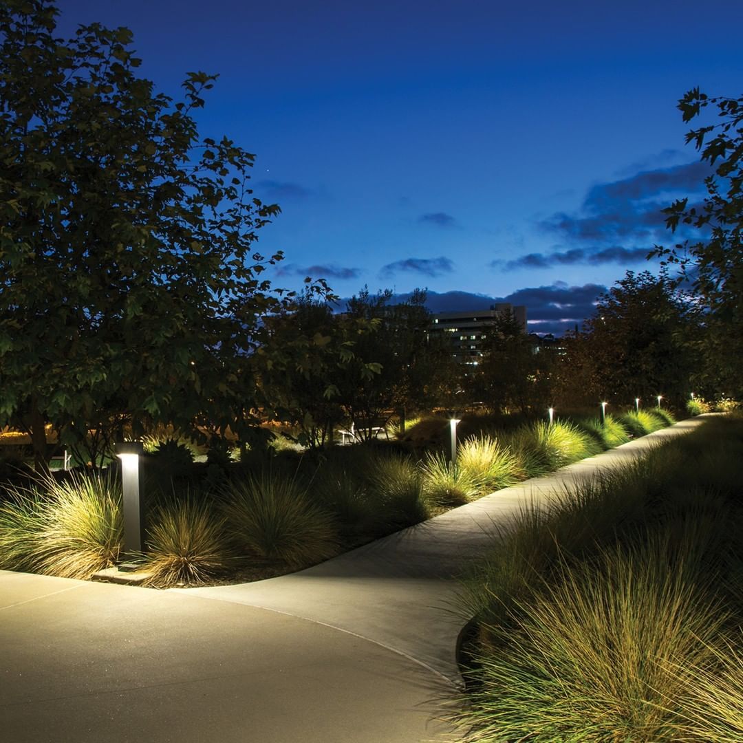 Path Lighting Illuminate Your Garden Pathways with These Ideas