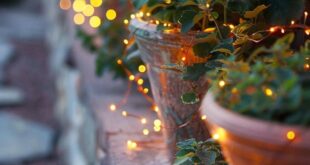 Patio Yard String Lights