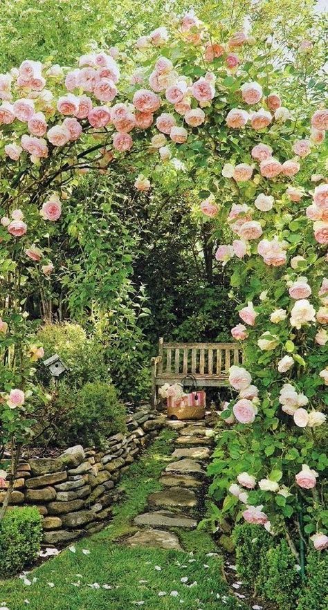 Rose Garden Beautiful Floral Oasis: A Place of Serenity and Beauty