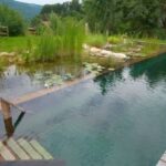 Shipping Container Swiming Pool Design