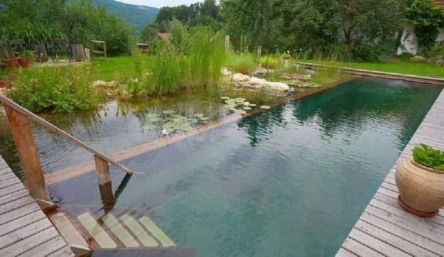 Shipping Container Swiming Pool Design Creative Ways to Repurpose Shipping Containers for a Swimmin​g Pool