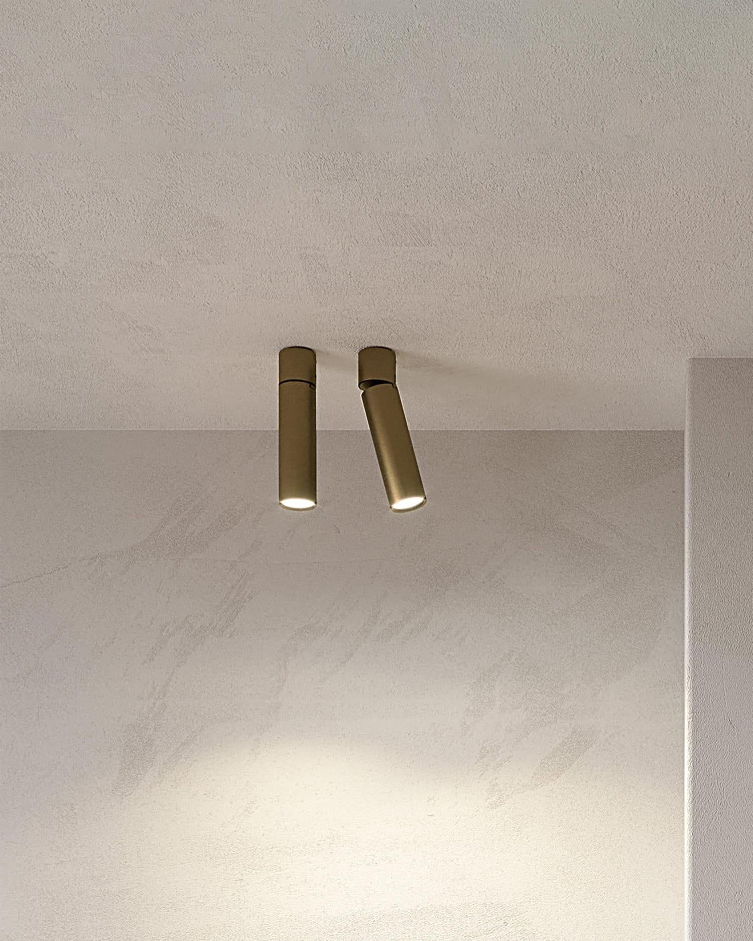 Spot Lighting Illuminate Your Space with Focused Light Sources for a Dramatic Effect