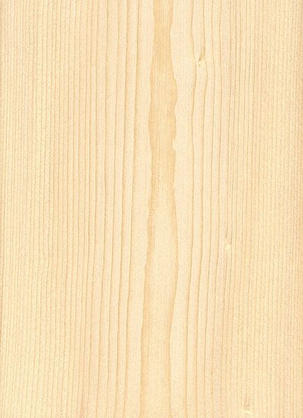 Spruce Wood All About the Versatile and Durable Wood of the Spruce Tree