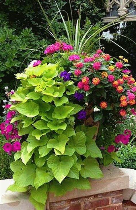 container flowers