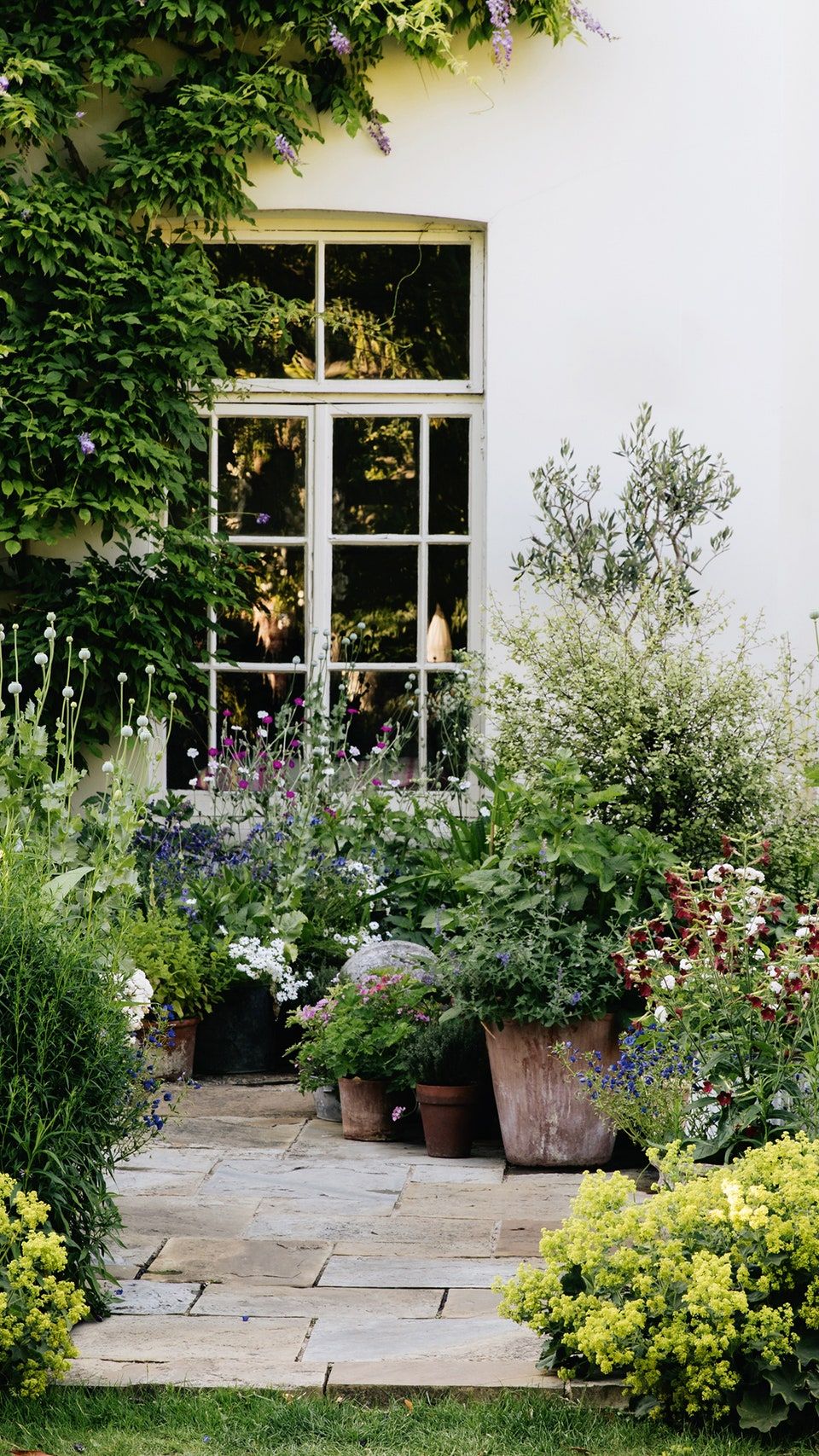 10 Expert Tips for Creating a Stunning Garden Oasis