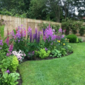 flower garden ideas