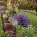 garden borders