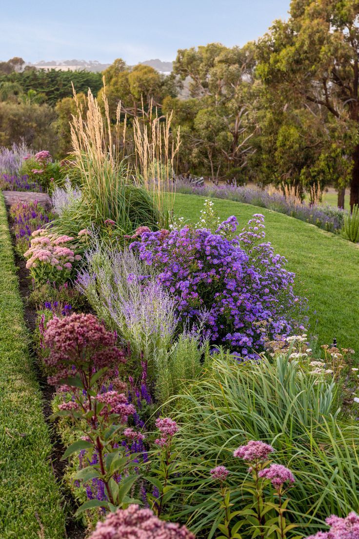 garden borders