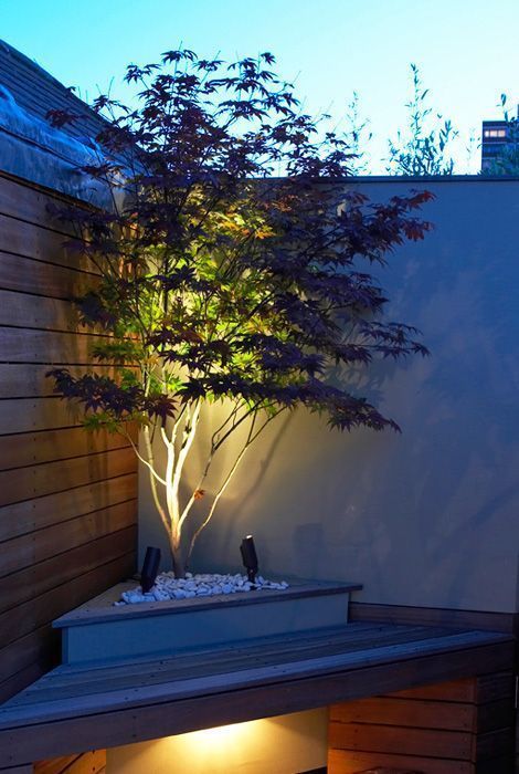 Backyard Lighting Ideas to Illuminate Your Outdoor Space