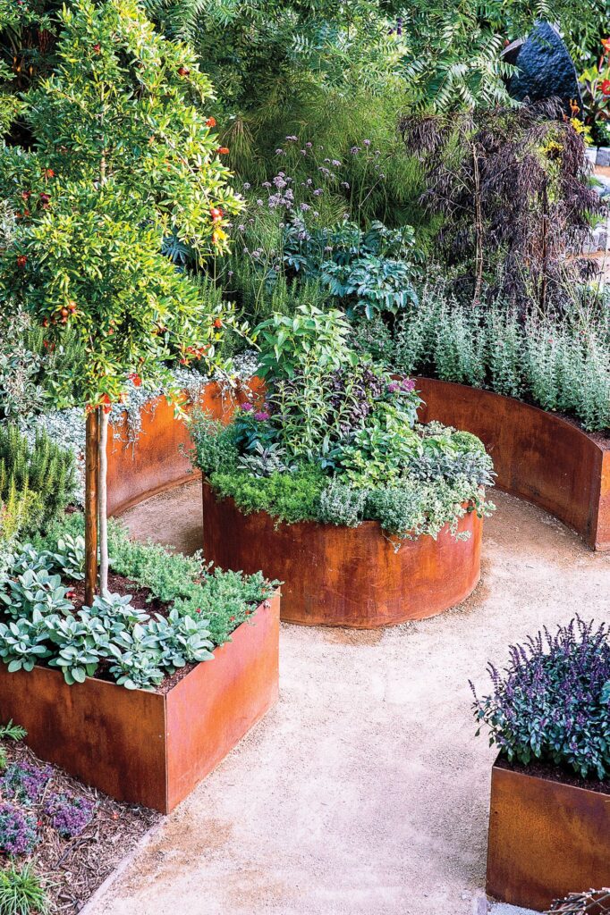 Vegetable Garden Design