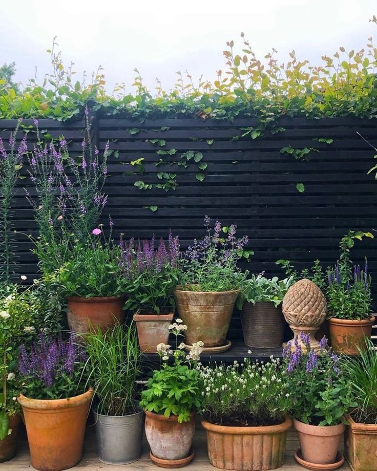 Small Garden Ideas