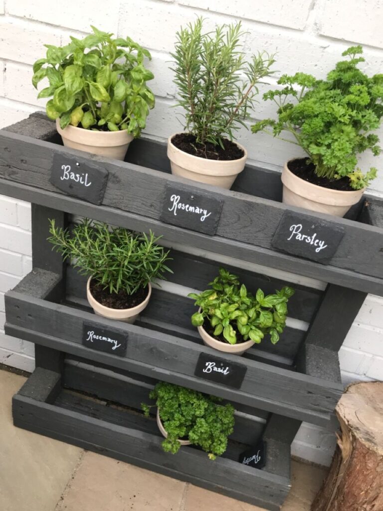 Herb Garden Ideas