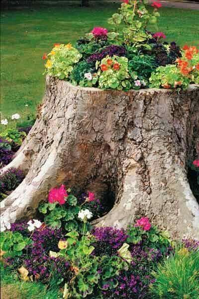 Planter Ideas for Your Home and Garden