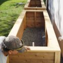 Raised Garden Beds