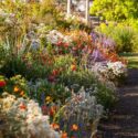 Planting Flowers