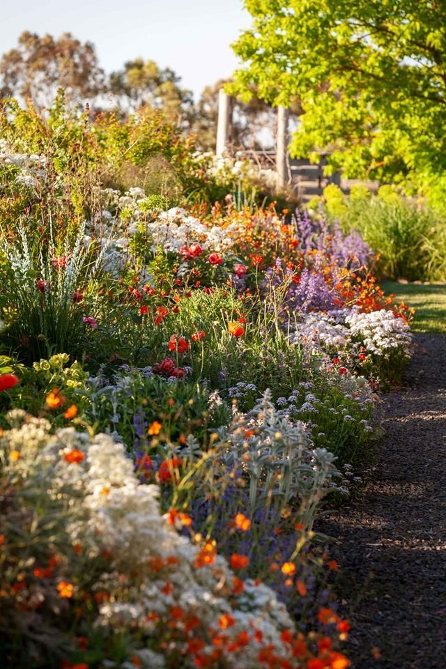 Planting Flowers for a Beautiful Garden