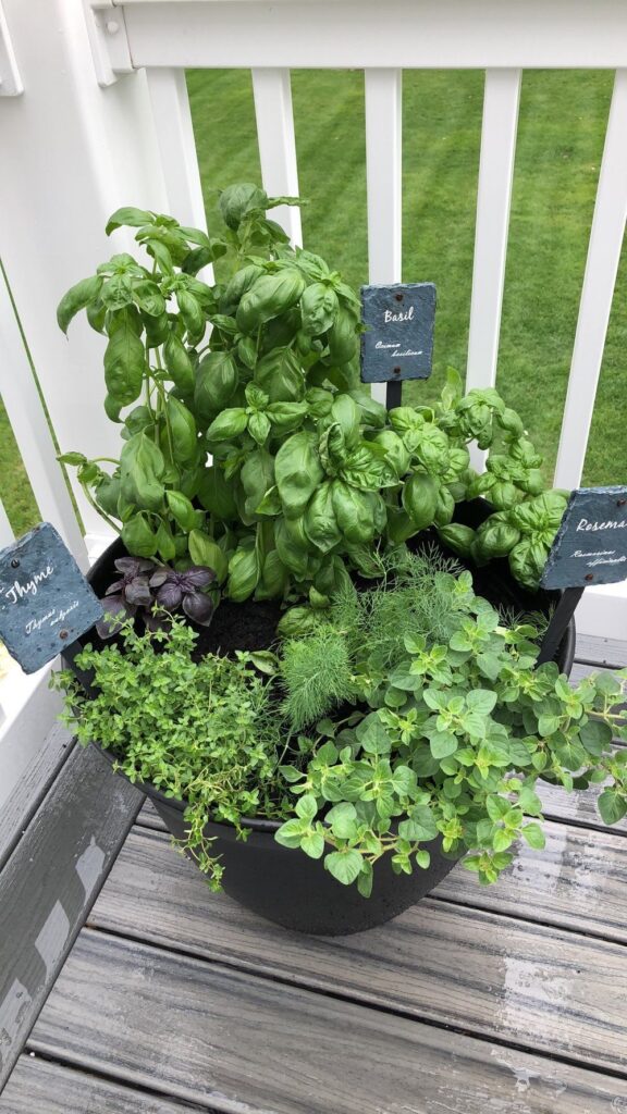 Herb Garden