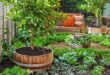 Vegetable Garden Design