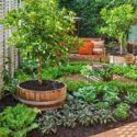 Vegetable Garden Design