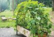 Cedar Planter Boxes