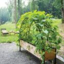 Cedar Planter Boxes