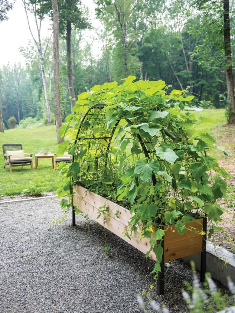 Cedar Planter Boxes