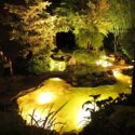 Backyard Fountain Ideas