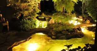 Backyard Fountain Ideas