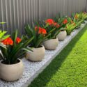 Backyard Landscaping Ideas